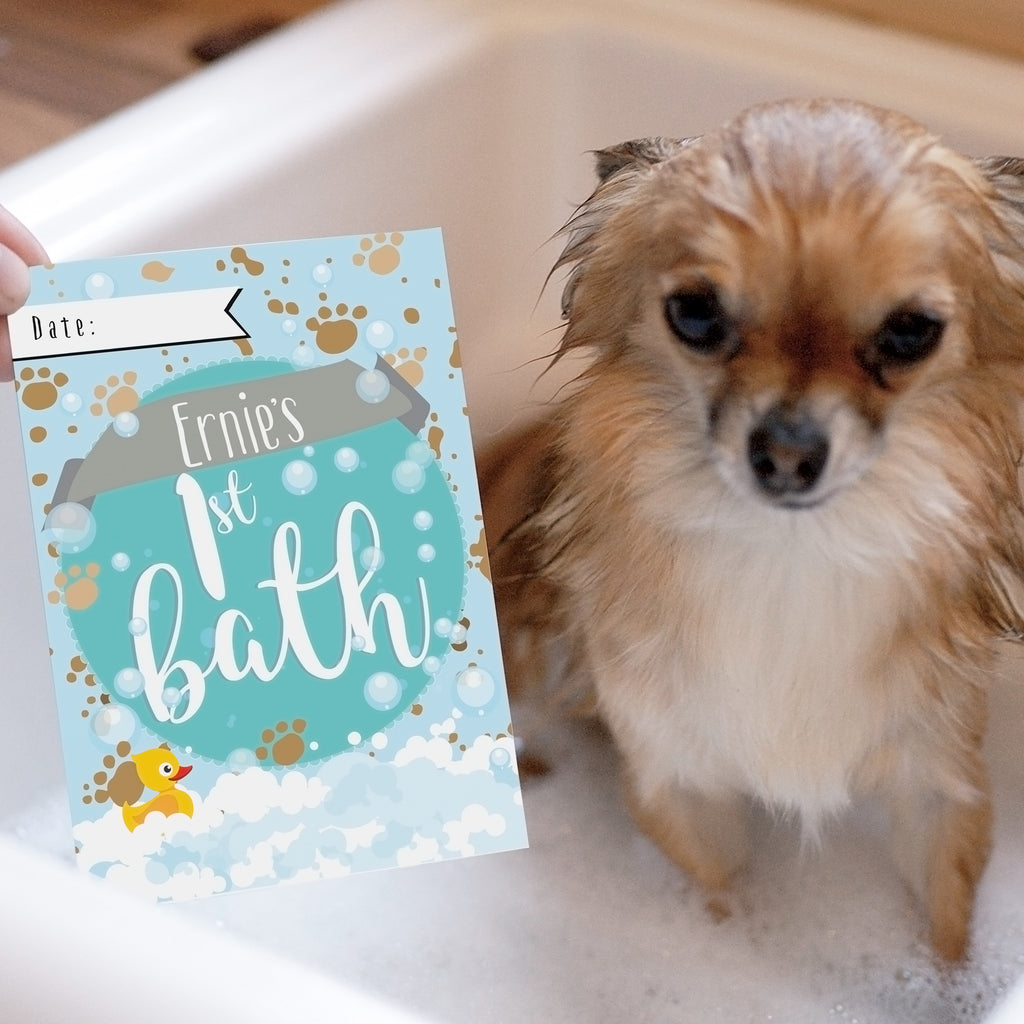 Personalised Puppy Cards: For Milestone Moments - Buy Greetings Cards at GiftMasters.co.uk