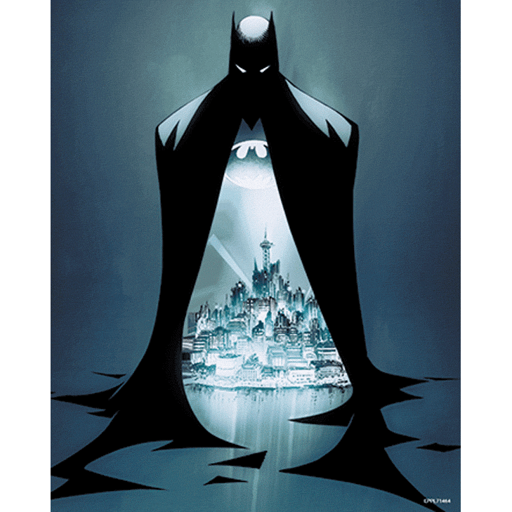 Batman 3D Print Protector - Buy Pictures at GiftMasters.co.uk