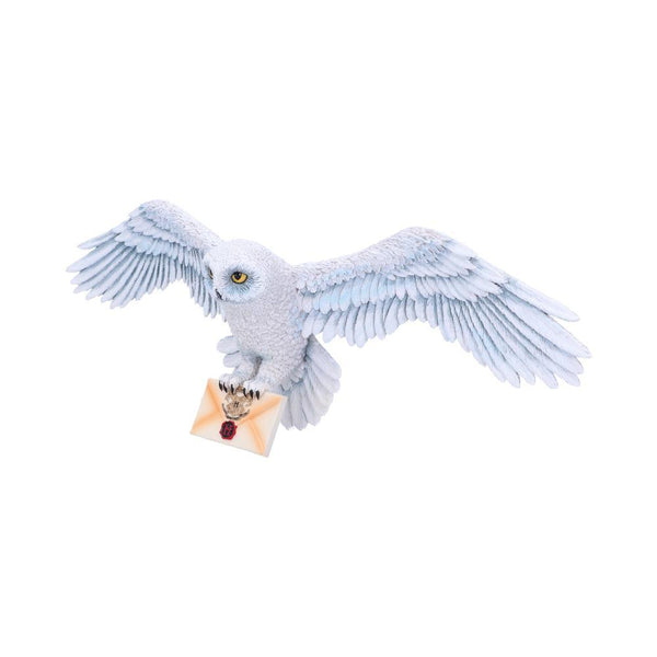 Harry Potter Hedwig Wall Plaque 45cm - GiftMasters.co.uk