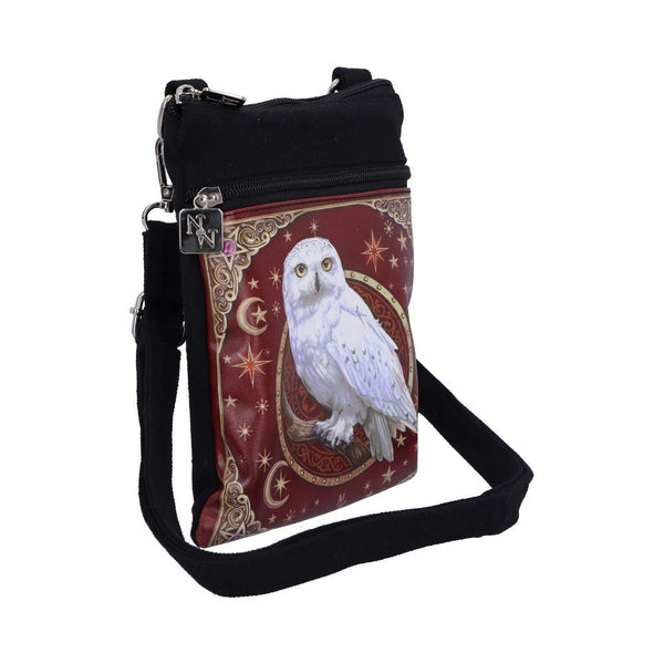 Magical Flight Shoulder Bag 23cm - GiftMasters.co.uk