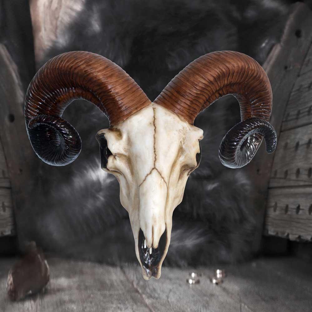 Rams Skull Medium 33cm - Buy Wall Hanging Sculptures at GiftMasters.co.uk