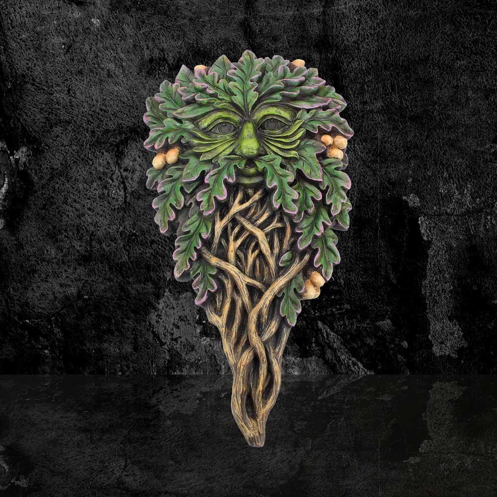 All Seeing Oak 29cm - Buy Wall Hanging Sculptures at GiftMasters.co.uk