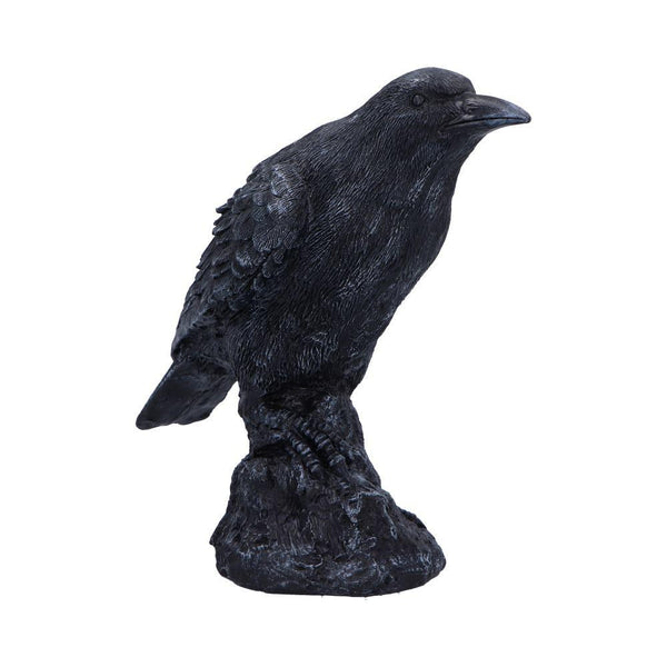 Raven Messenger 25cm Ornament - GiftMasters.co.uk