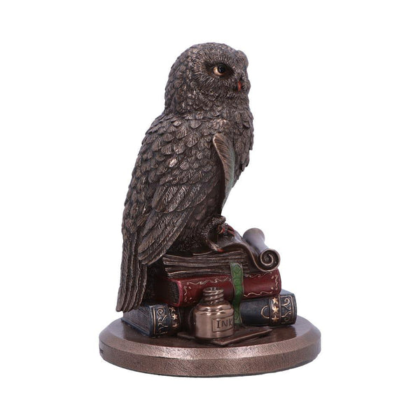 An Owl's Tale 14.5cm Ornament - GiftMasters.co.uk