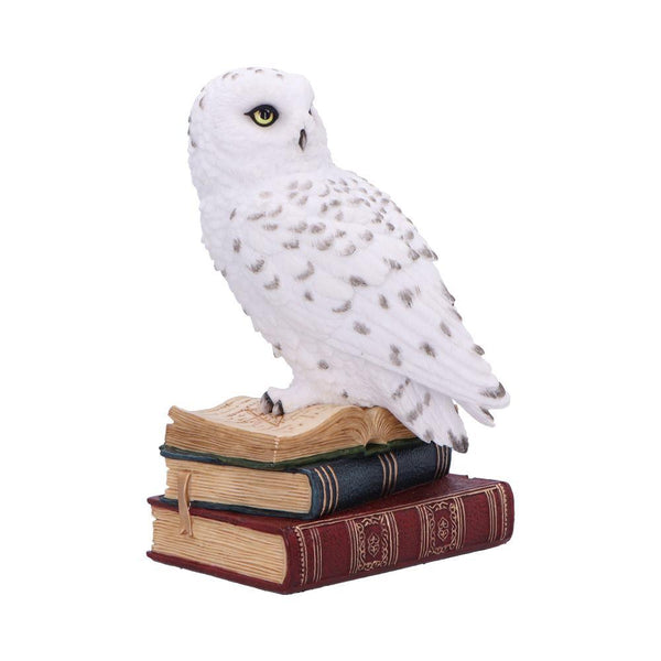 Library of Wisdom 17cm Ornament - GiftMasters.co.uk
