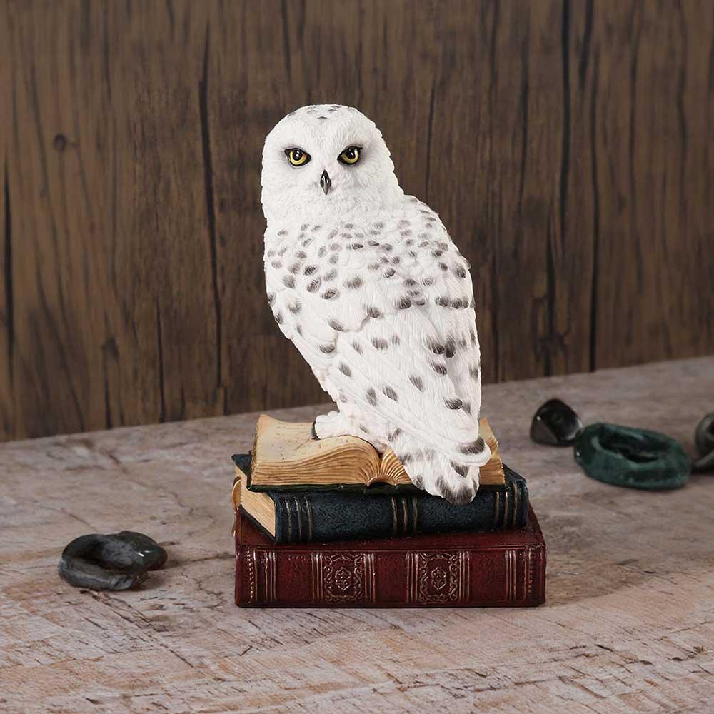 Library of Wisdom 17cm Ornament - Buy Figurines Medium (15-29cm) at GiftMasters.co.uk