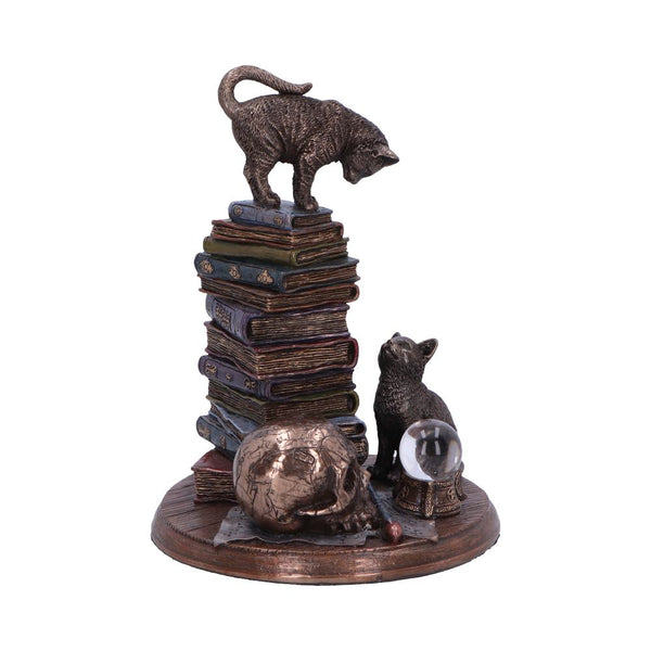 Feline Scholars 18cm Ornament - GiftMasters.co.uk
