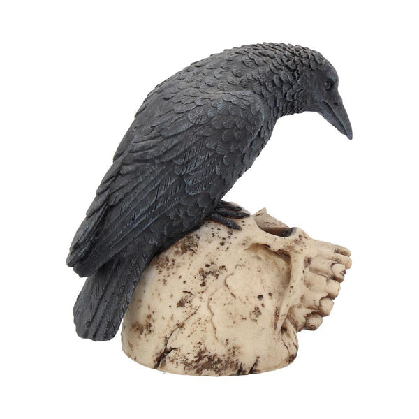 Ravens Remains 13cm Ornament - GiftMasters.co.uk
