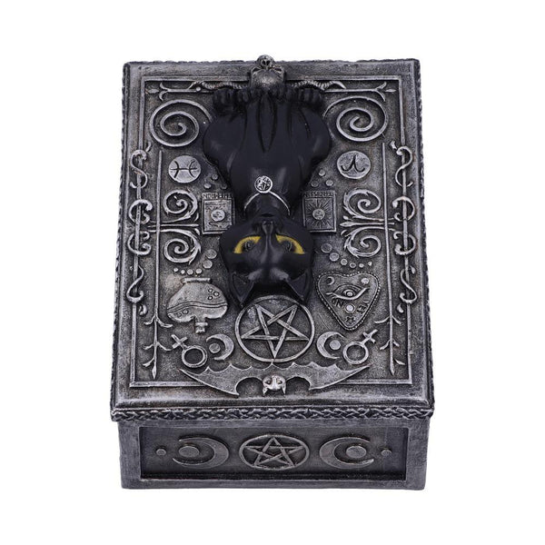 Familiar Spell Box 13.7cm - GiftMasters.co.uk