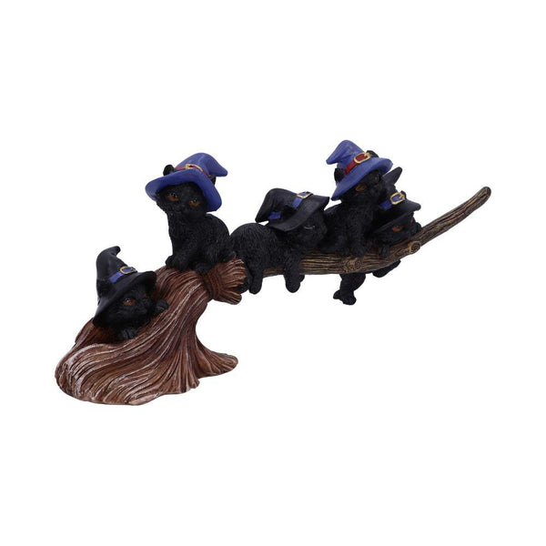 Purrfect Broomstick 27.5cm Ornament - GiftMasters.co.uk