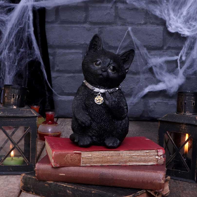 Cattitude 16.5cm Ornament - Buy Figurines Medium (15-29cm) at GiftMasters.co.uk