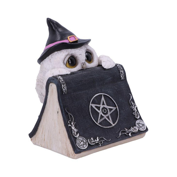 Owl's Spell 15cm Ornament - GiftMasters.co.uk