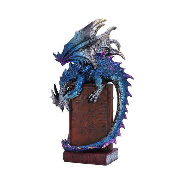 A Tale of Dragons 22cm Ornament - GiftMasters.co.uk