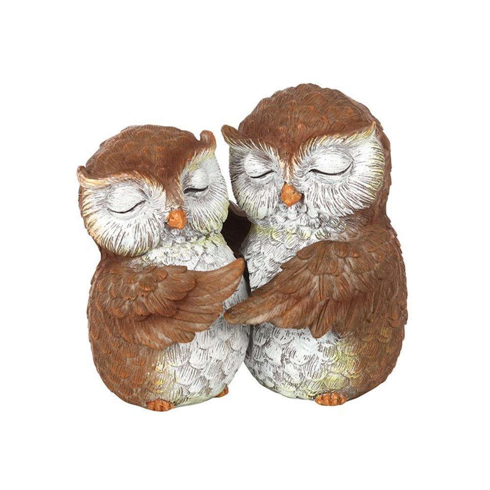 Birds of a Feather Owl Couple Ornament - Buy Ornament at GiftMasters.co.uk