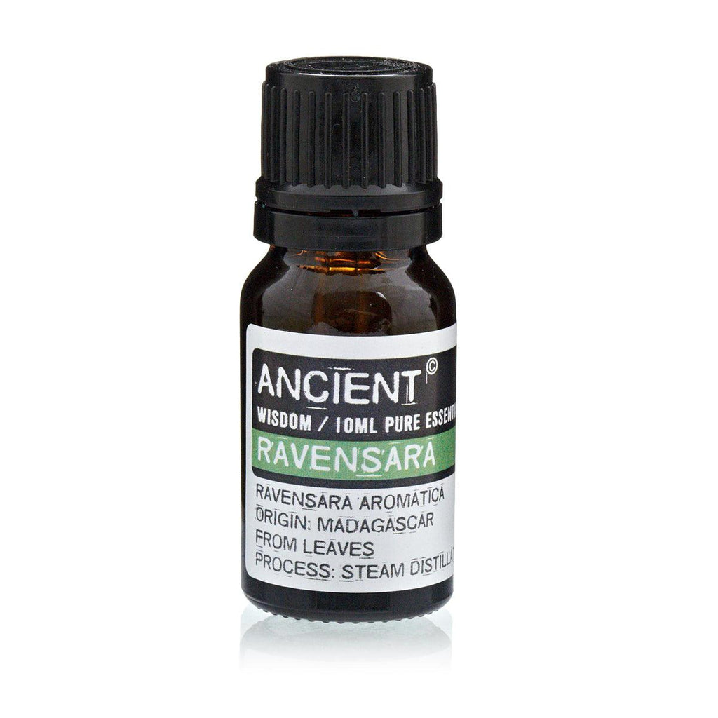 10 ml Ravensara Essential Oil - Buy 0.04 at GiftMasters.co.uk