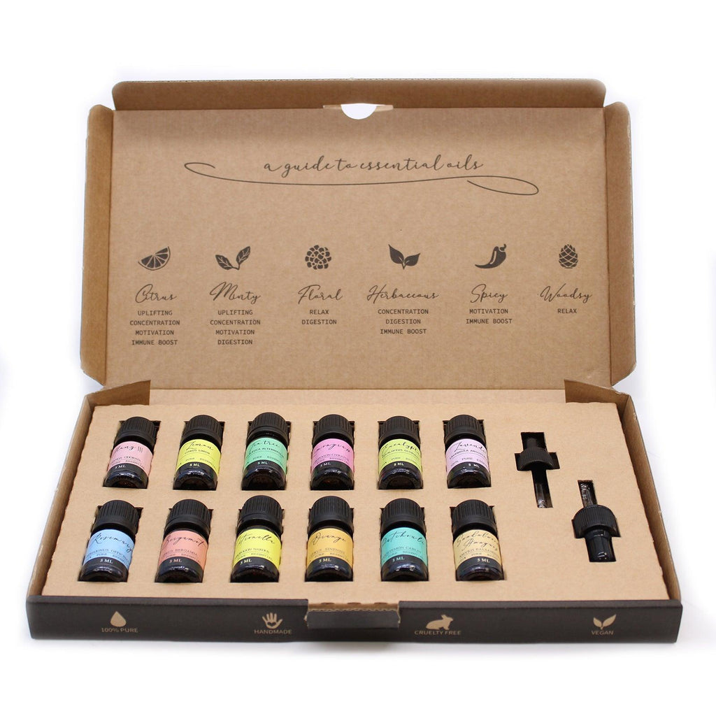 Aromatherapy Essential Oil Set - The Top 12 - Buy 0.445 at GiftMasters.co.uk