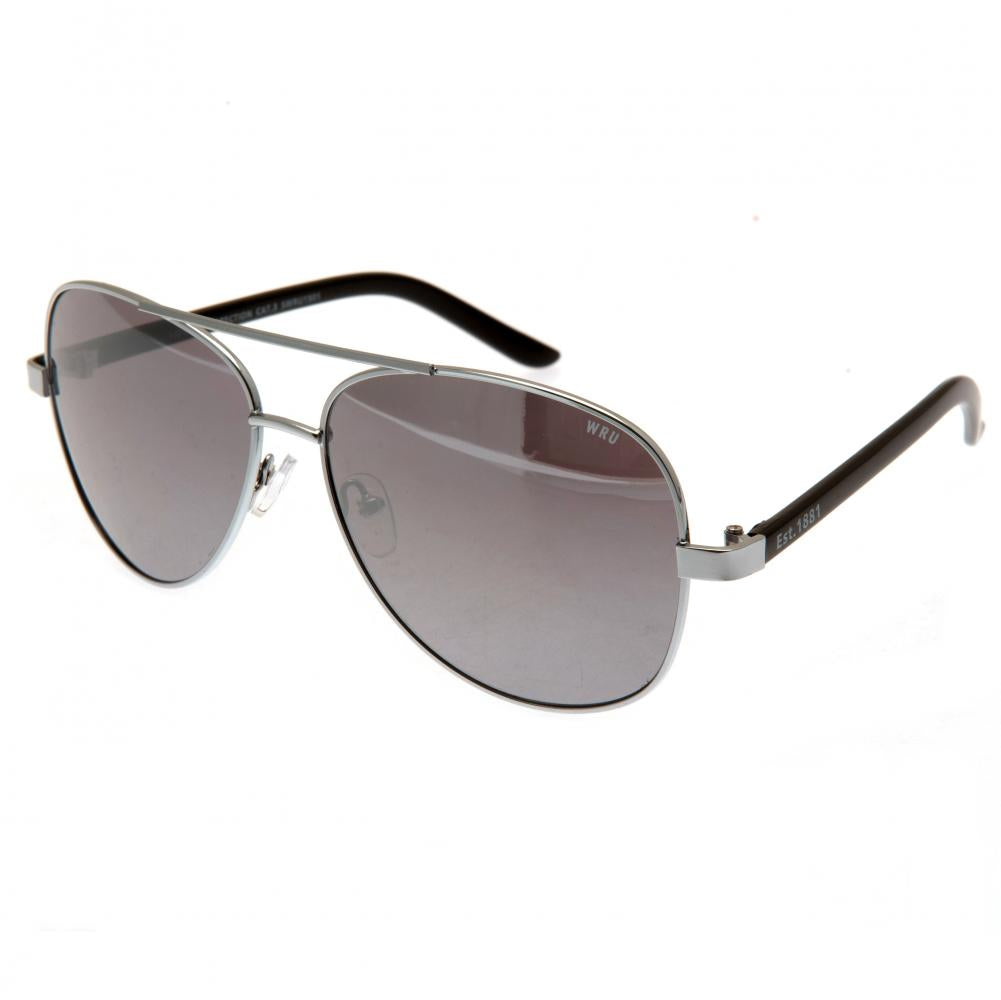 Wales RU Sunglasses Adult Aviator - Buy Sunglasses at GiftMasters.co.uk