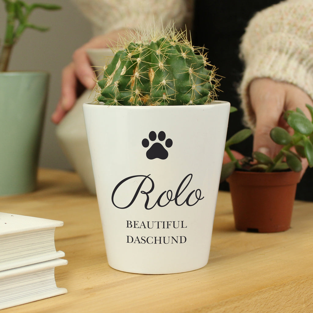 Personalised Paw Print Plant Pot - Buy Vases at GiftMasters.co.uk