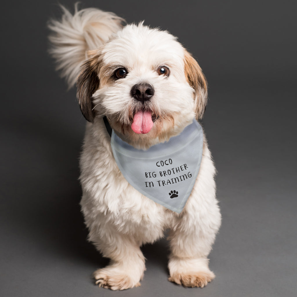Personalised Dog Bandana - Buy Pet Gifts at GiftMasters.co.uk