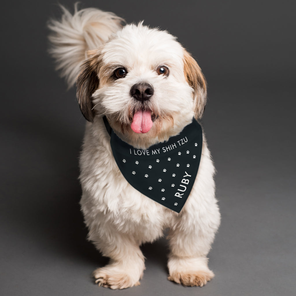 Personalised Paw Print Dog Bandana - Buy Pet Gifts at GiftMasters.co.uk