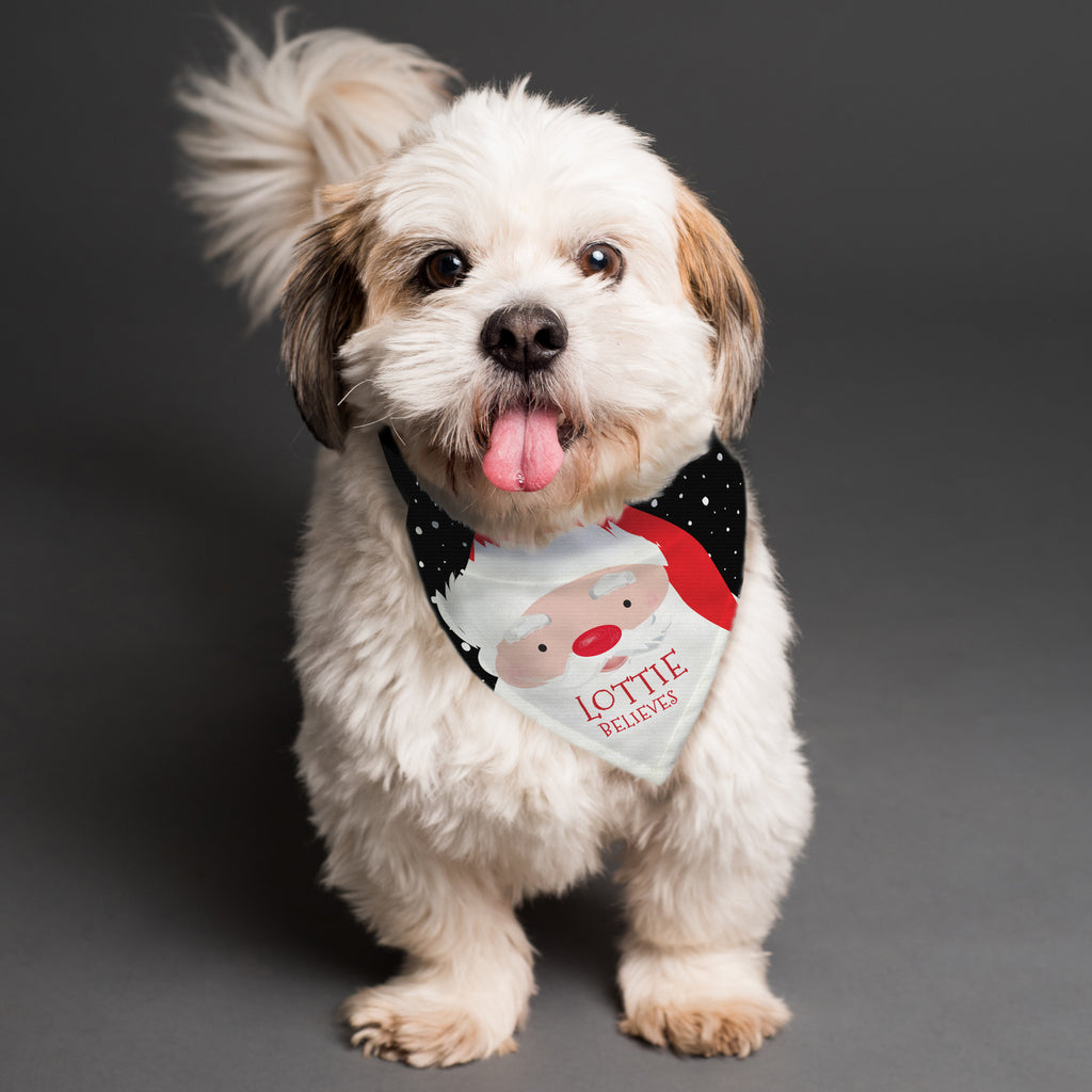 Personalised Santa Dog Bandana - Buy Pet Gifts at GiftMasters.co.uk
