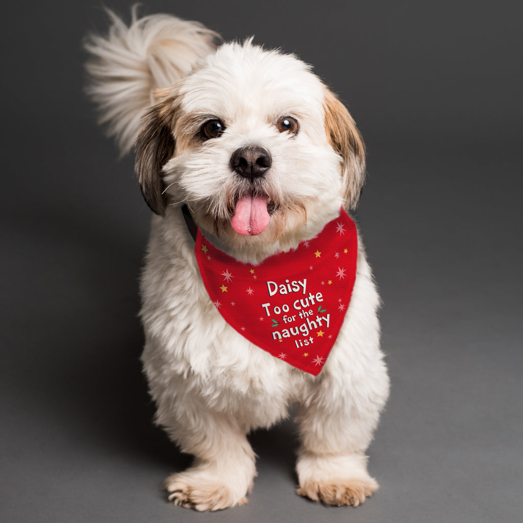 Personalised 'Too cute for the naughty list' Dog Bandana - Buy Pet Gifts at GiftMasters.co.uk