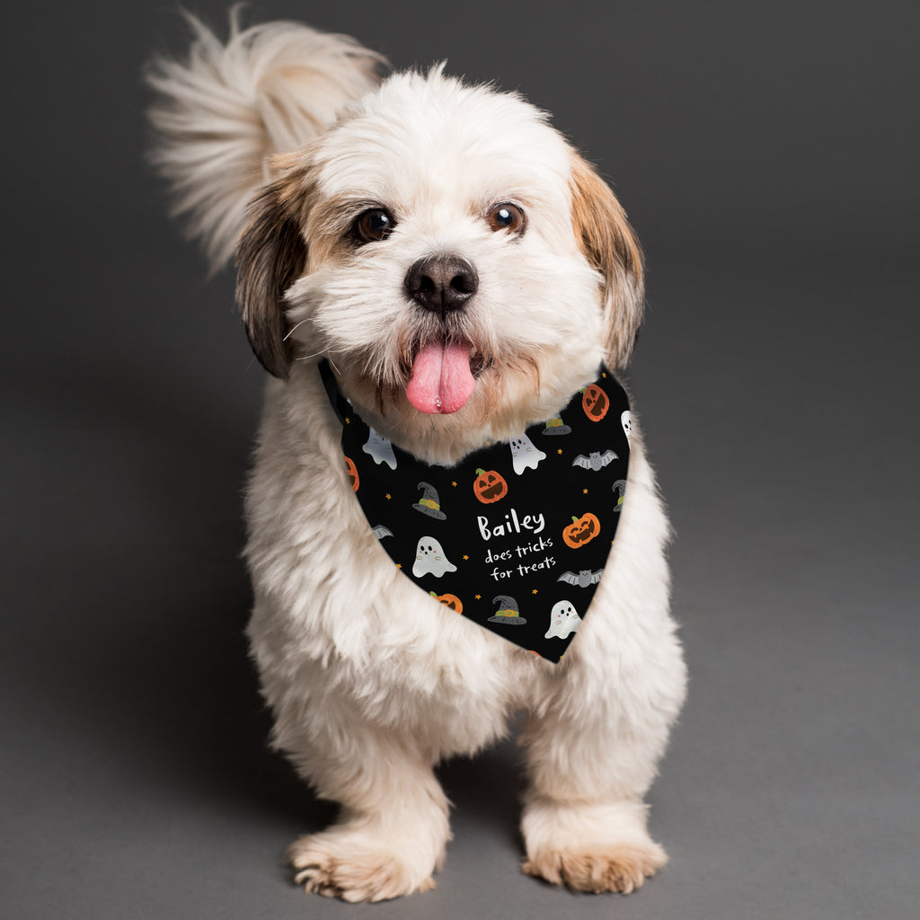 Personalised Halloween Dog Bandana - Buy Pet Gifts at GiftMasters.co.uk