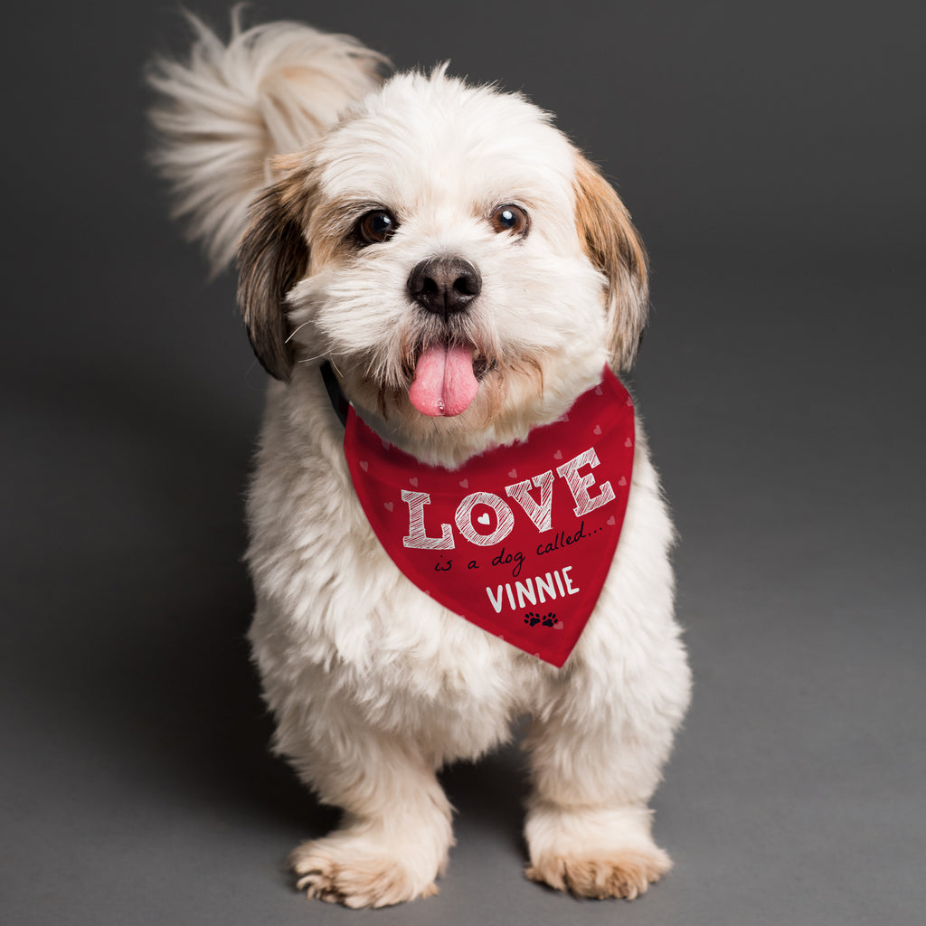 Personalised Love is... Dog Bandana - Buy Pet Gifts at GiftMasters.co.uk