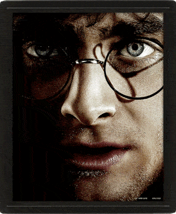 Harry Potter Framed 3D Picture - Buy Pictures at GiftMasters.co.uk