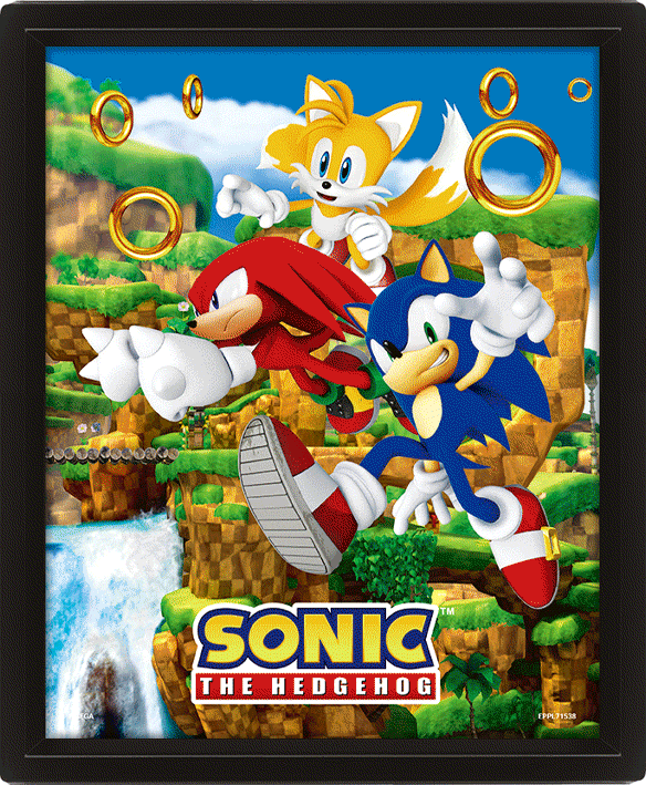 Sonic The Hedgehog Framed 3D Picture - Buy Pictures at GiftMasters.co.uk