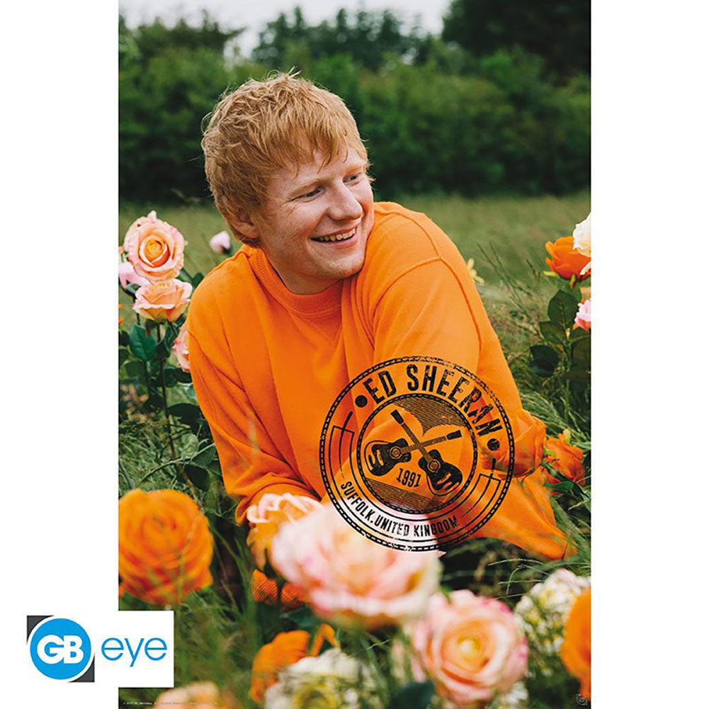 Ed Sheeran Poster Field 90 - Buy Posters at GiftMasters.co.uk