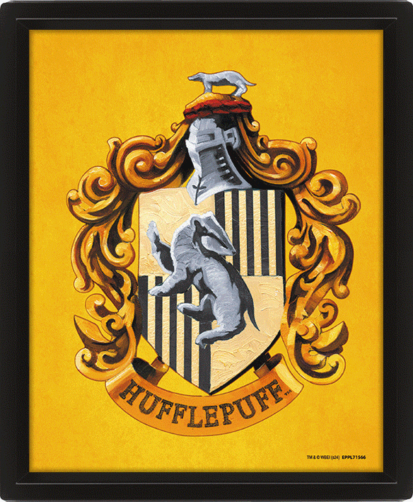 Harry Potter Hufflepuff Framed 3D Picture - Buy Pictures at GiftMasters.co.uk