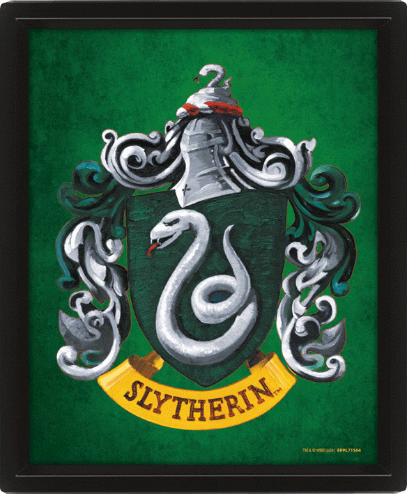 Harry Potter Slytherin Framed 3D Picture - Buy Pictures at GiftMasters.co.uk