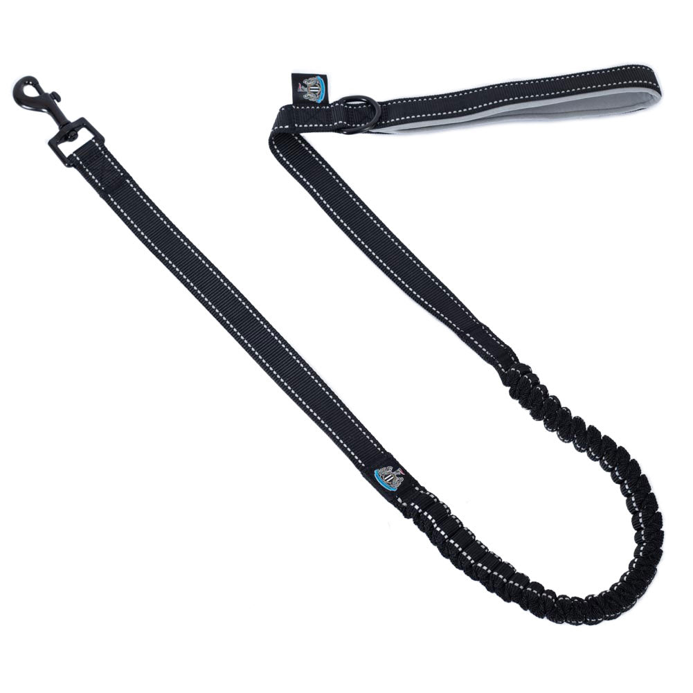 Newcastle United FC Reflective Dog Lead - Buy Pet Accessories at GiftMasters.co.uk