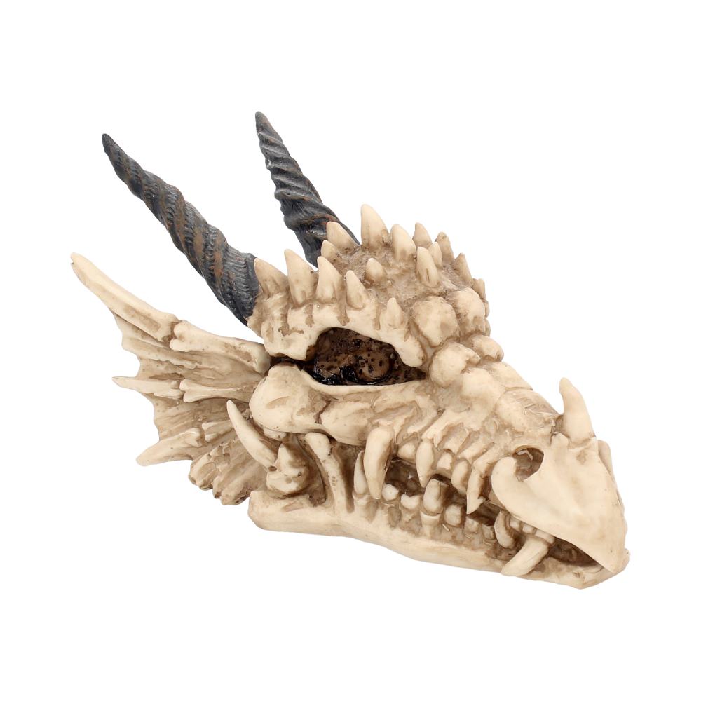 Dragon Skull Box 20cm - Buy Boxes at GiftMasters.co.uk