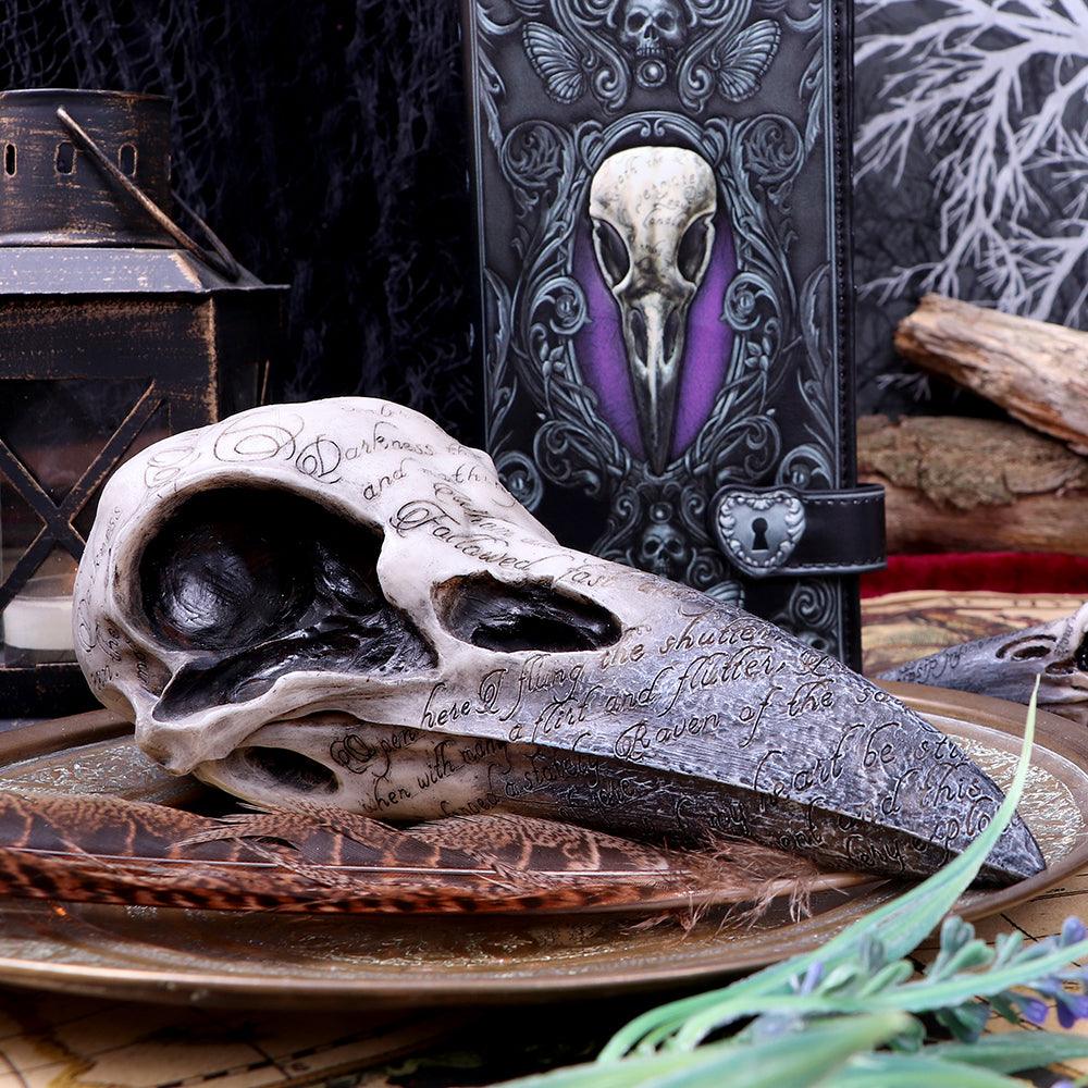 Edgar's Raven Skull 21cm Ornament