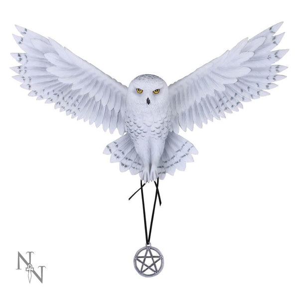Awaken your Magic (AS) 45cm - GiftMasters.co.uk