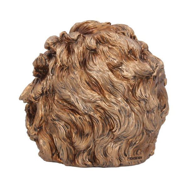 The Theory of Relativity 21cm Ornament - GiftMasters.co.uk