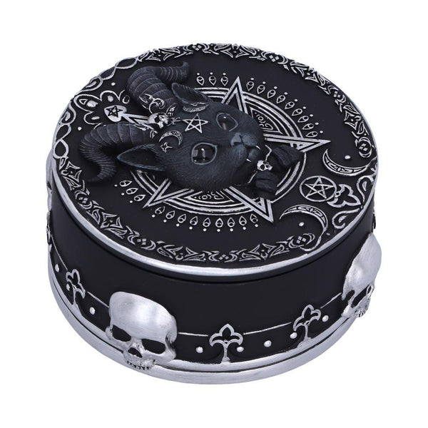 Pawzuph Trinket Box 10.8cm - GiftMasters.co.uk
