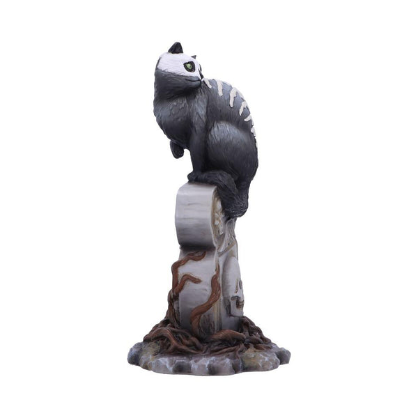 Skull Cat by Martin Hanford 15cm Ornament - GiftMasters.co.uk