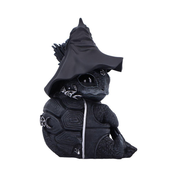 Shellial 10.3cm Ornament - GiftMasters.co.uk