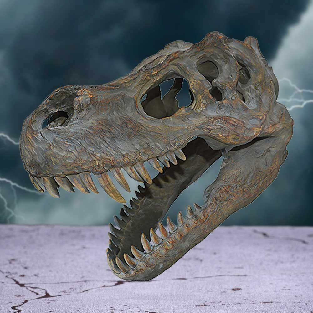 Tyrannosaurus Rex Skull Small 39.5cm B/strap - Buy Wall Hanging Sculptures at GiftMasters.co.uk