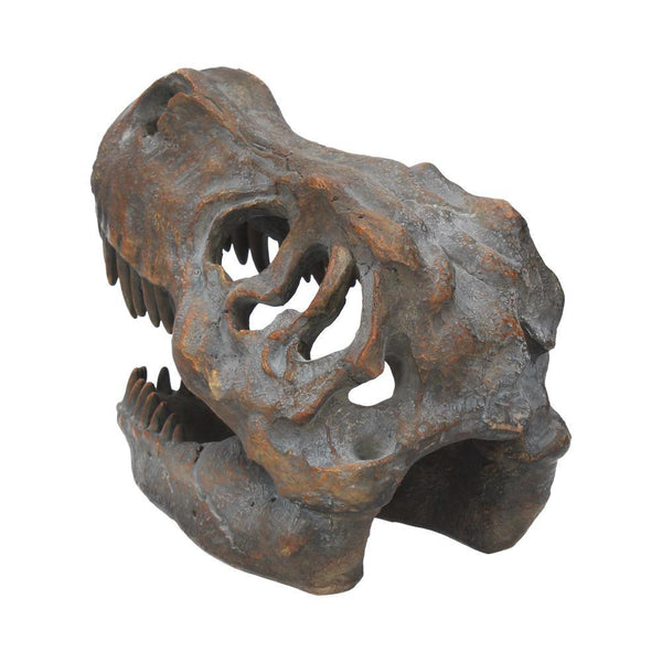 Tyrannosaurus Rex Skull Freestanding 16cm Ornament - GiftMasters.co.uk