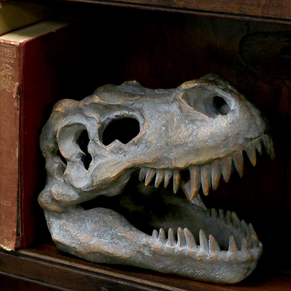 Tyrannosaurus Rex Skull Freestanding 16cm Ornament - Buy Figurines Medium (15-29cm) at GiftMasters.co.uk