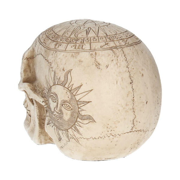Astrological Skull 20cm Ornament - GiftMasters.co.uk