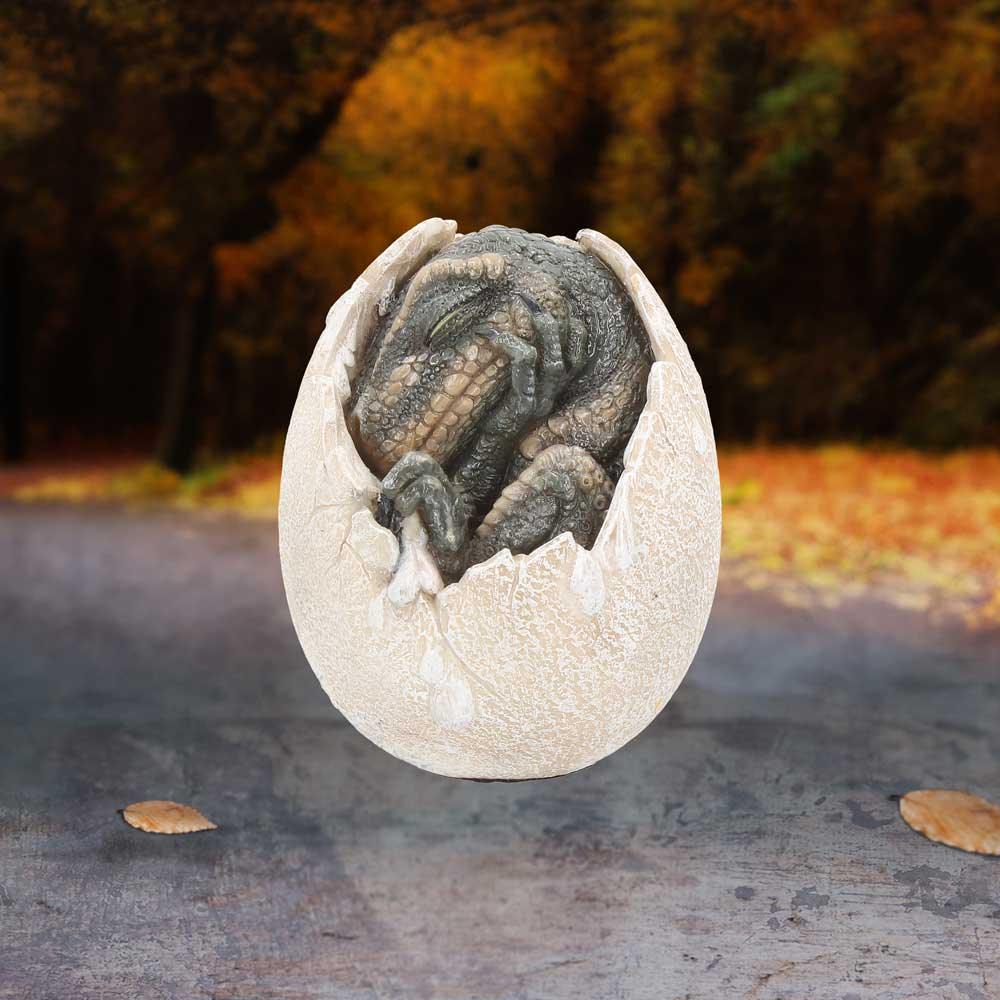 Wyrmlings First Light 12cm Ornament - Buy Figurines Small (Under 15cm) at GiftMasters.co.uk