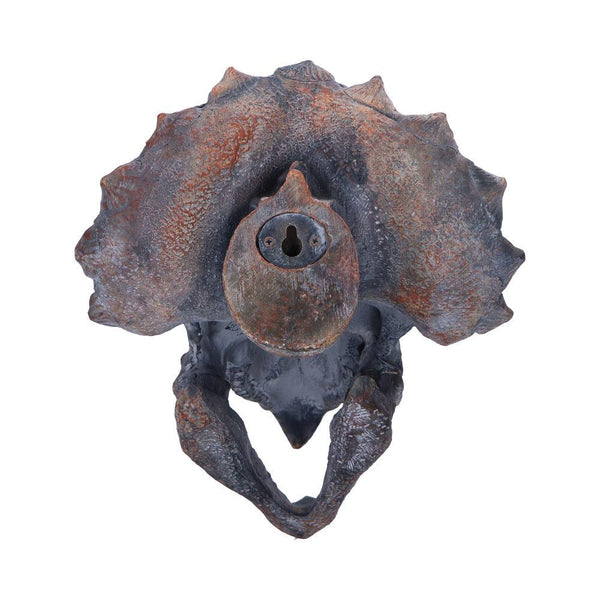 Triceratops Head 23cm - GiftMasters.co.uk