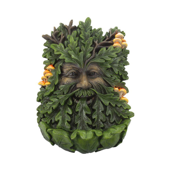 Elderwood 23.8cm - GiftMasters.co.uk