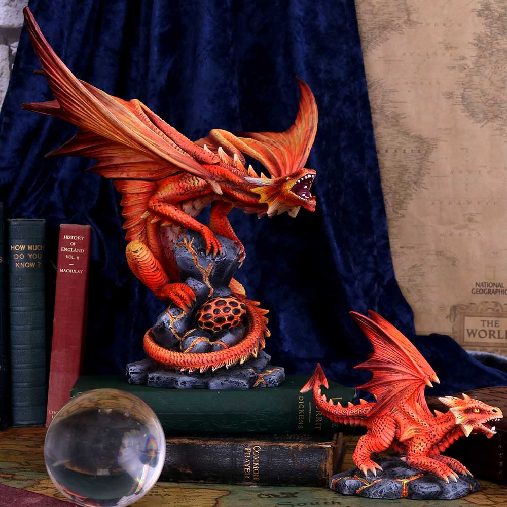 Adult Fire Dragon (AS) 24.5cm Ornament - Buy Figurines Medium (15-29cm) at GiftMasters.co.uk