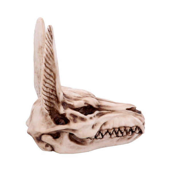 Anubis Skull 17cm Ornament - GiftMasters.co.uk